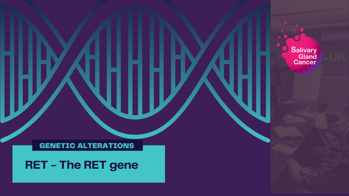 Gen Ret The RET gene - Salivary Gland Cancer UK